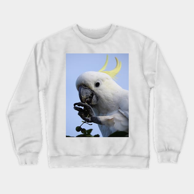 Sulphur Crested Cockatoo Crewneck Sweatshirt by kirstybush